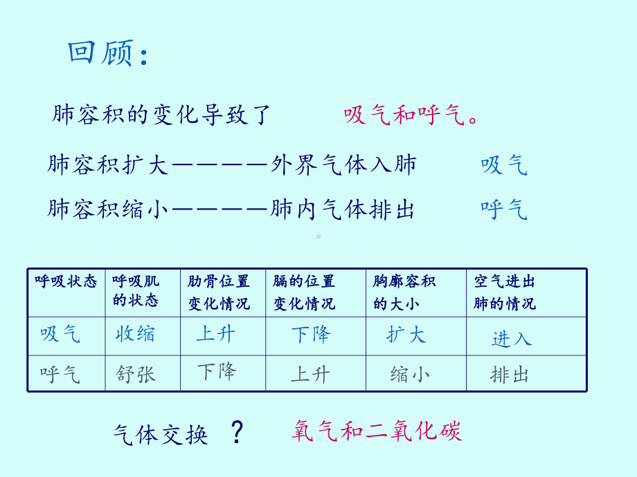 苏科版(初中一年级)七年级生物下册人体的呼吸-第二课时-课件1.ppt_第2页