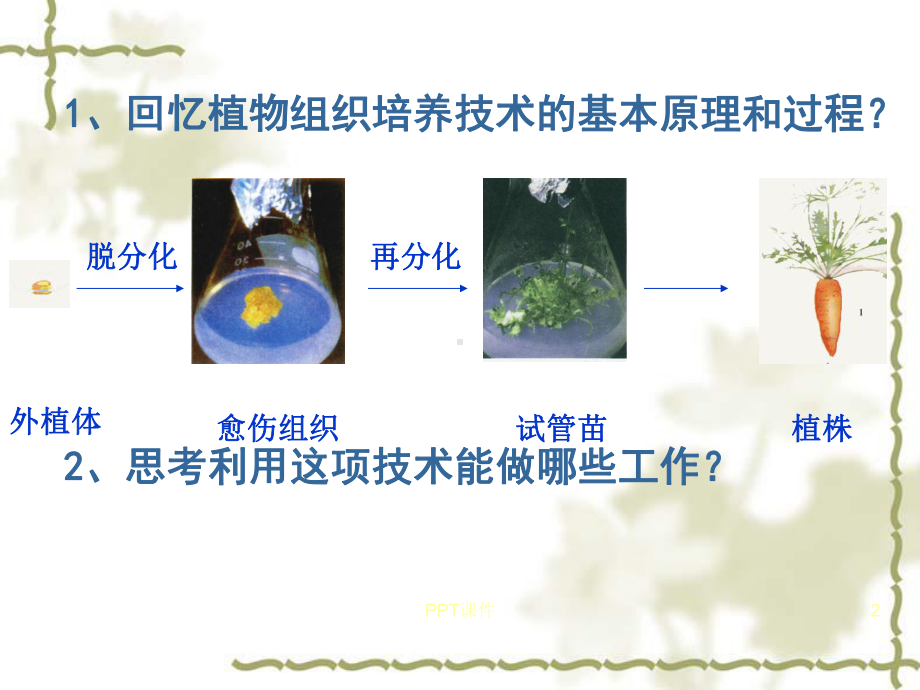 植物细胞工程的实际应用课件(同名81).ppt_第2页