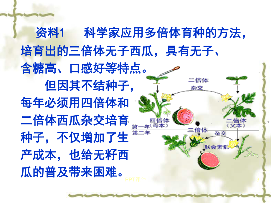 植物细胞工程的实际应用课件(同名81).ppt_第3页