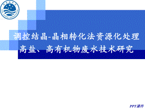 调控结晶-晶相转化法资源化处理高盐、高有机物废水技术研究课件.ppt