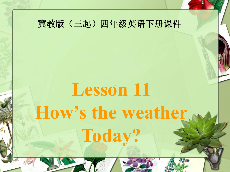 冀教版四年级下册英语《lesson-11-how’s-the-weather-today》课件正式.ppt（纯ppt,不包含音视频素材）_第1页