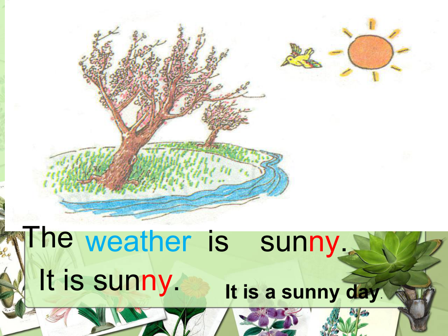 冀教版四年级下册英语《lesson-11-how’s-the-weather-today》课件正式.ppt（纯ppt,不包含音视频素材）_第3页