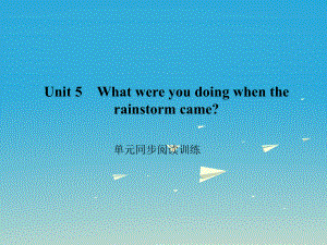 八年级英语下册What-were-you-doing-when-the-rainstorm-came同步阅读训练课件-(新版)人教新目标版.pptx