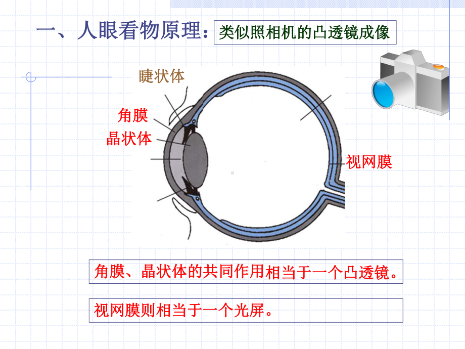 第四节-眼睛和眼镜课件1.ppt_第3页