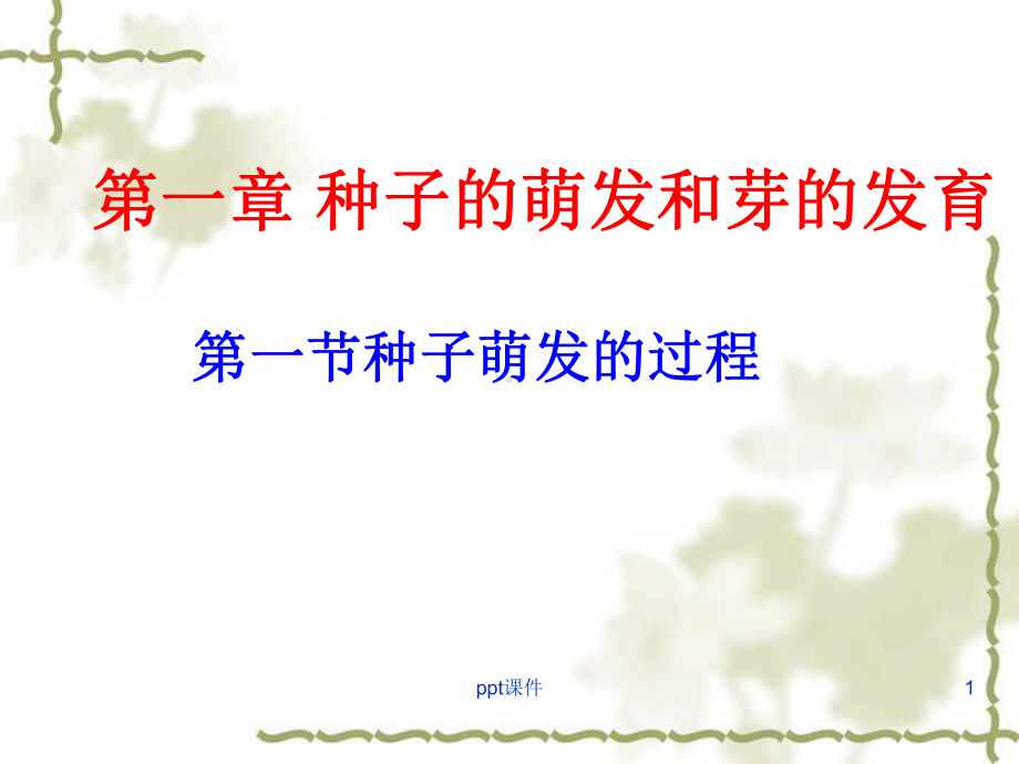 种子萌发的过程课件.ppt_第1页