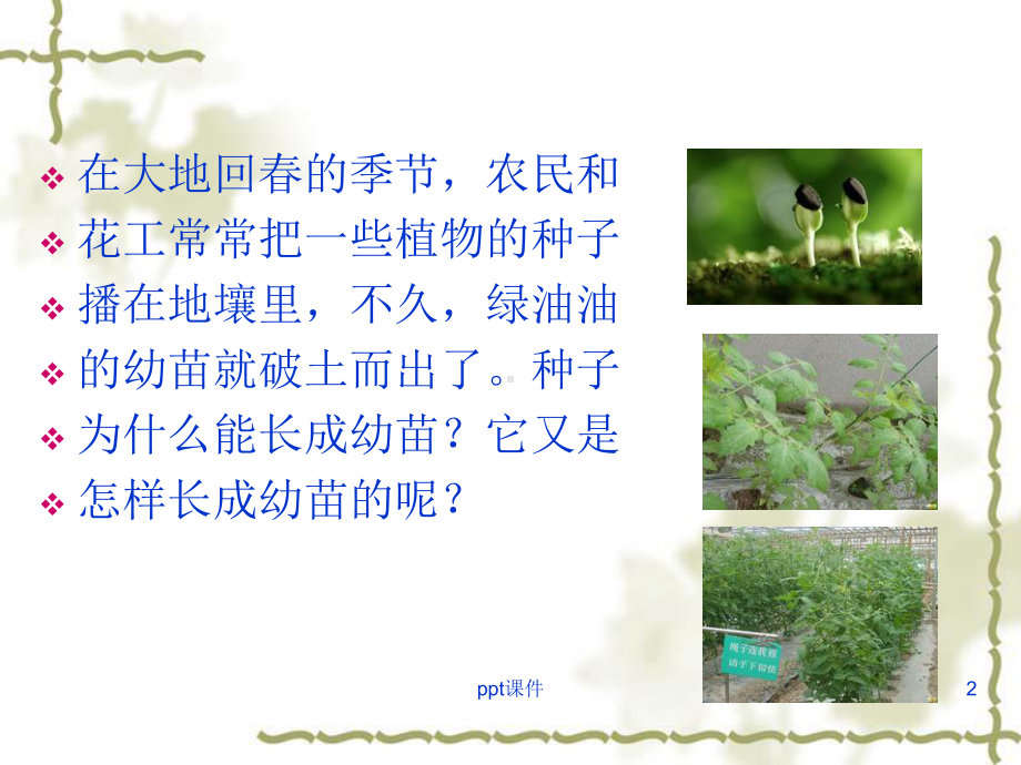 种子萌发的过程课件.ppt_第2页