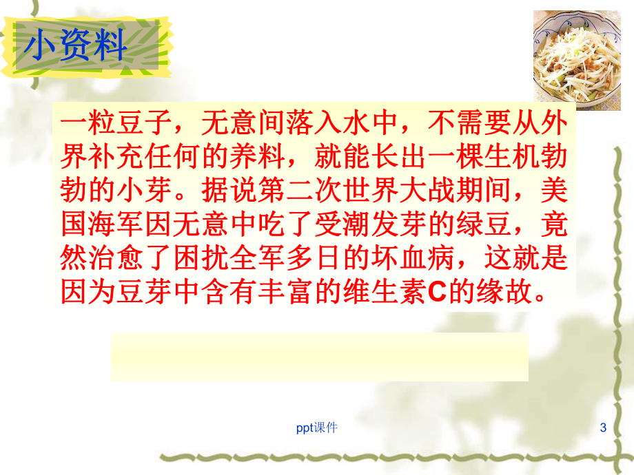 种子萌发的过程课件.ppt_第3页