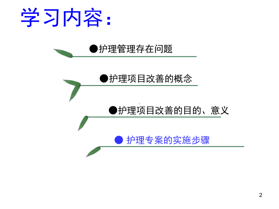 护理专项改善教学课件.ppt_第2页