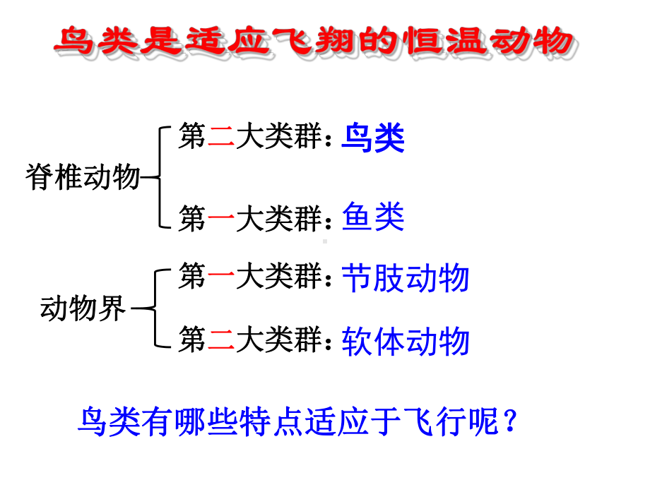 广东省廉江市实验学校(北师大版)八年级上册课件：22.ppt_第1页