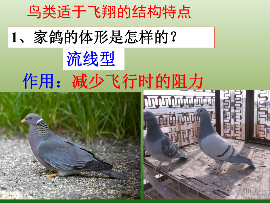 广东省廉江市实验学校(北师大版)八年级上册课件：22.ppt_第2页