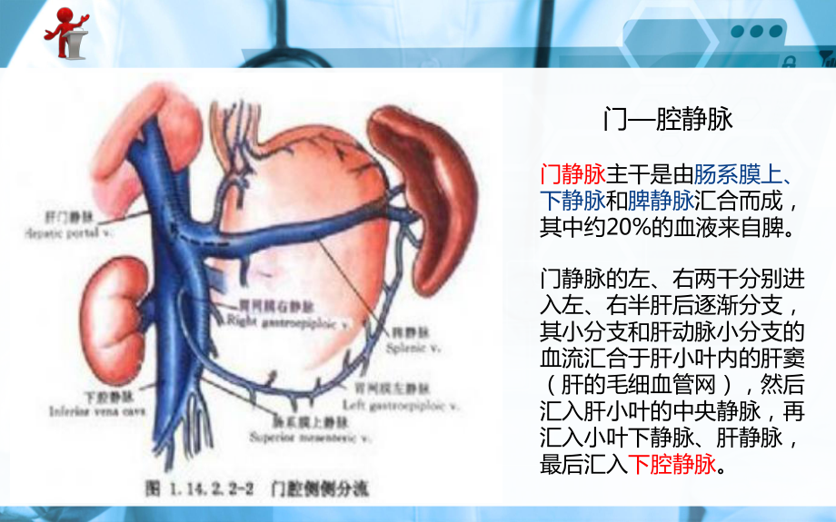 门静脉高压症病人的护理查房课件.pptx_第2页