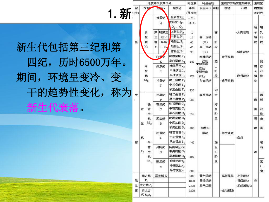 全球变化-新生代衰落与第四纪课件.ppt_第3页