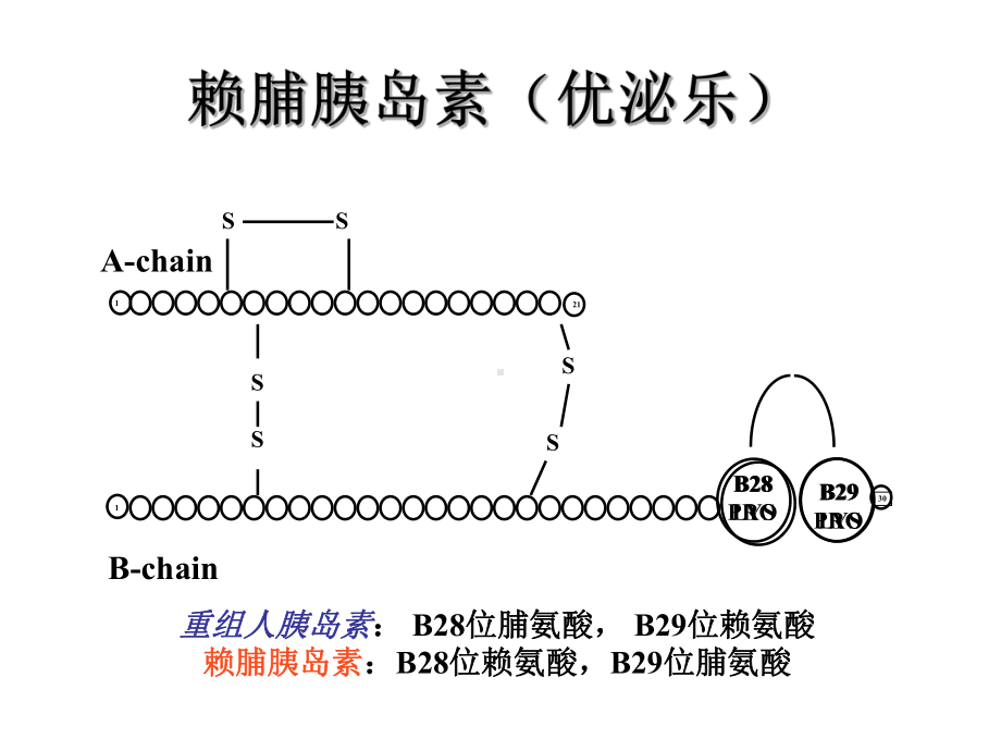 赖脯胰岛素课件.ppt_第2页