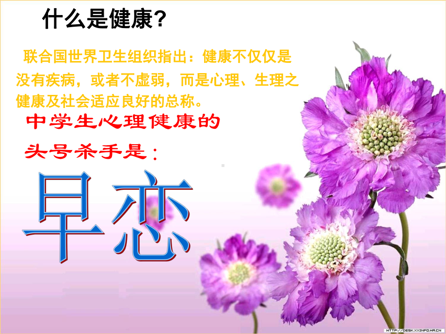 初中女生教育课件.ppt_第2页