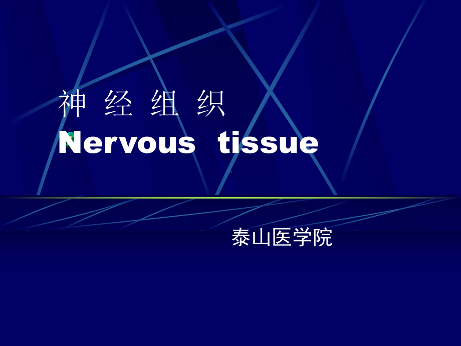 成人专升本临床医学组织胚胎学神经组织课件.ppt_第1页