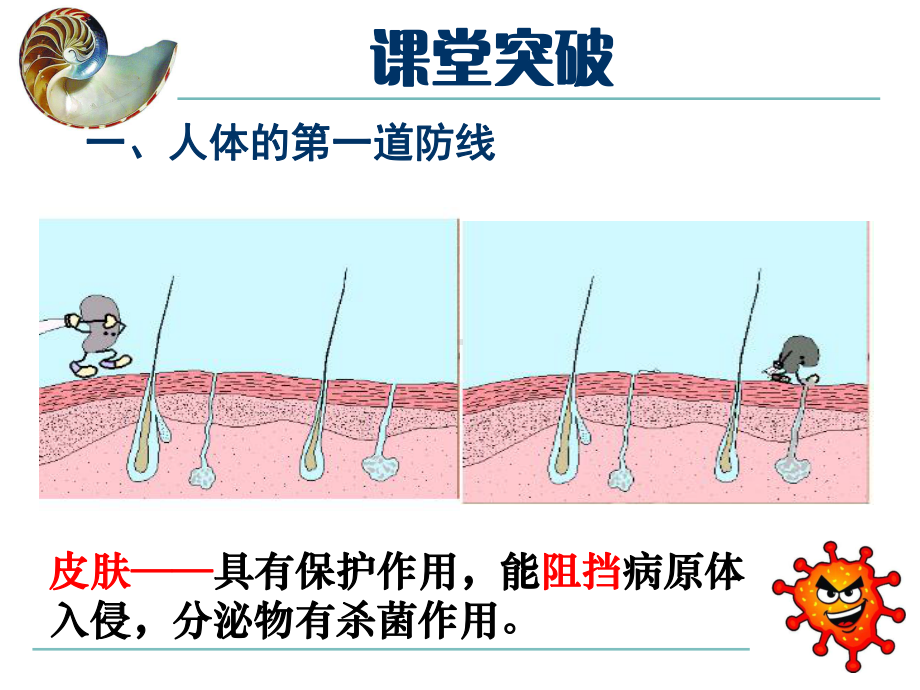 新人教版八年级生物下册《免疫和计划免疫》课件.ppt_第3页