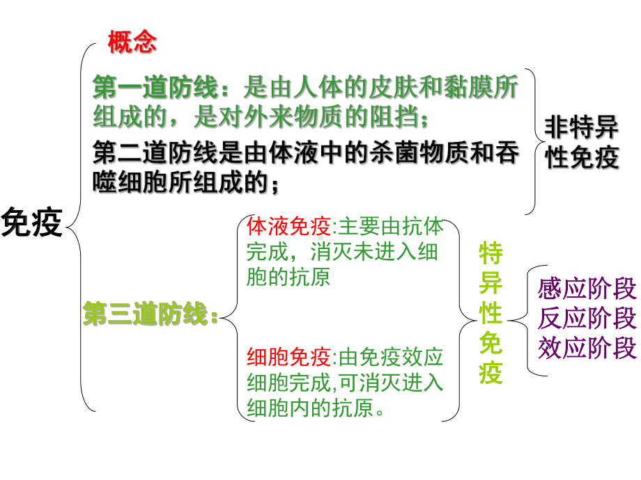 第二节-体液免疫和细胞免疫课件.ppt_第2页