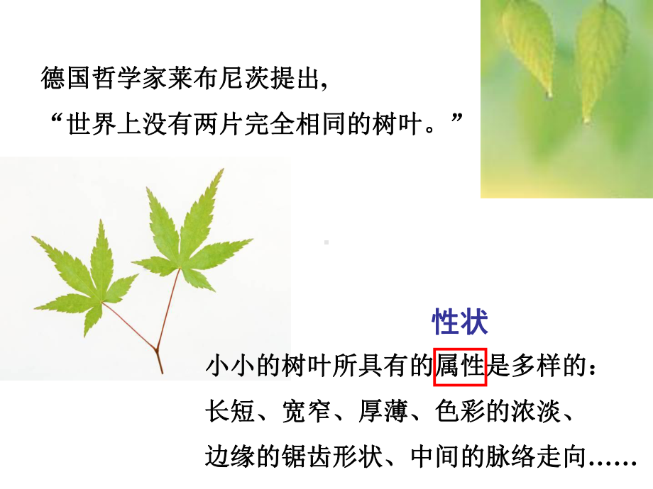 第五节-生物的变异课件.ppt_第1页