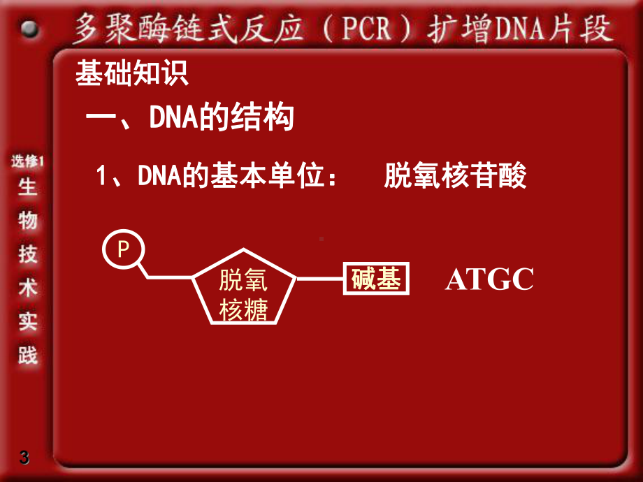 人教版高中生物选修一专题5课题2《多聚酶链式反应扩增DNA片段》优秀课件.ppt_第3页