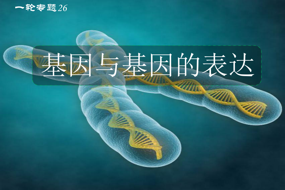 专题26-基因及表达-2021年高考生物一轮复习知识精讲课件.pptx_第2页