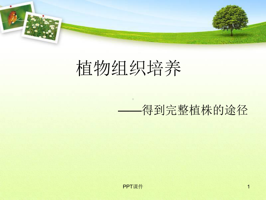 植物组织培养课件-002.ppt_第1页