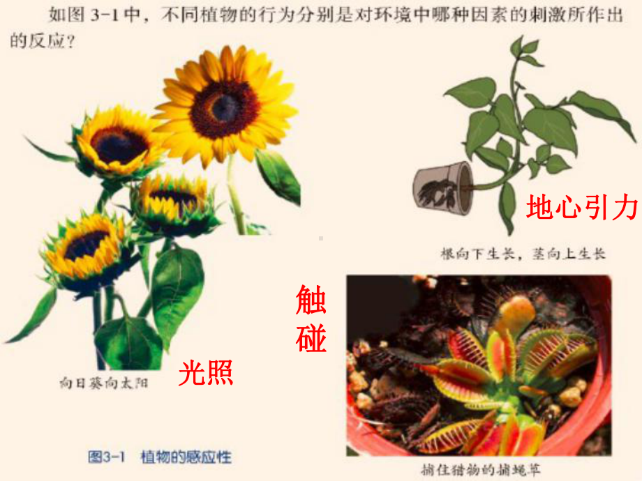 浙教版-《科学》八年级上册-第三章-1-7节-优秀教学课件精选-打包24套-收藏.pptx_第2页