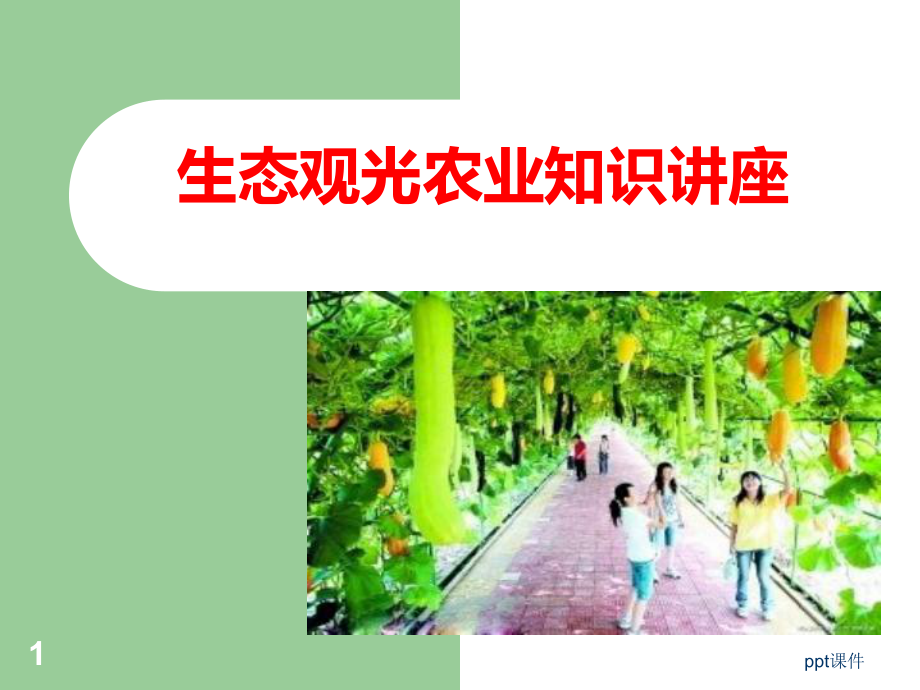 生态观光农业课件.ppt_第1页