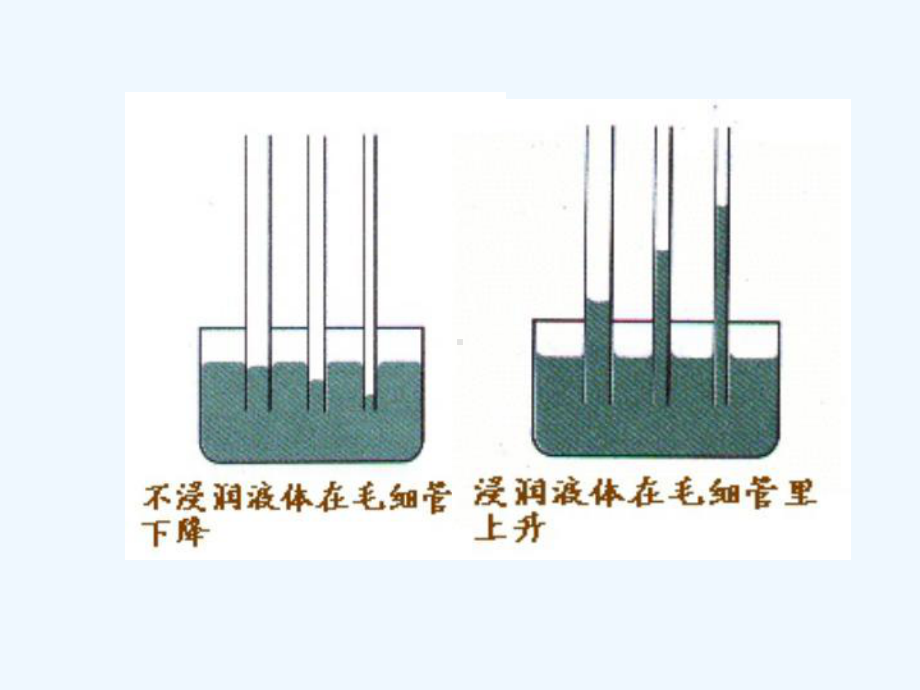 第二章液体的性质课件.ppt_第3页