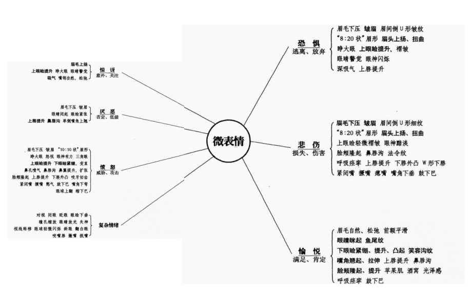 微表情与面部肌肉分析课件.ppt_第3页