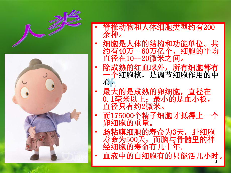 辅酶Q10幻灯课件.ppt_第3页