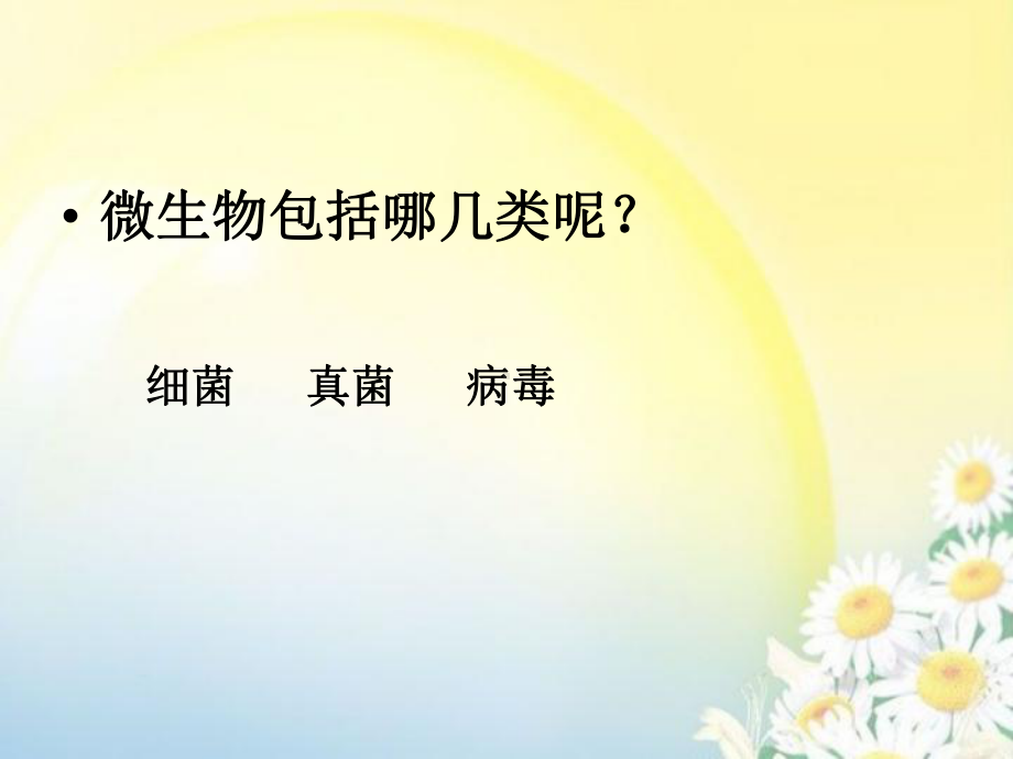 我们生活中的细菌课件.ppt_第2页