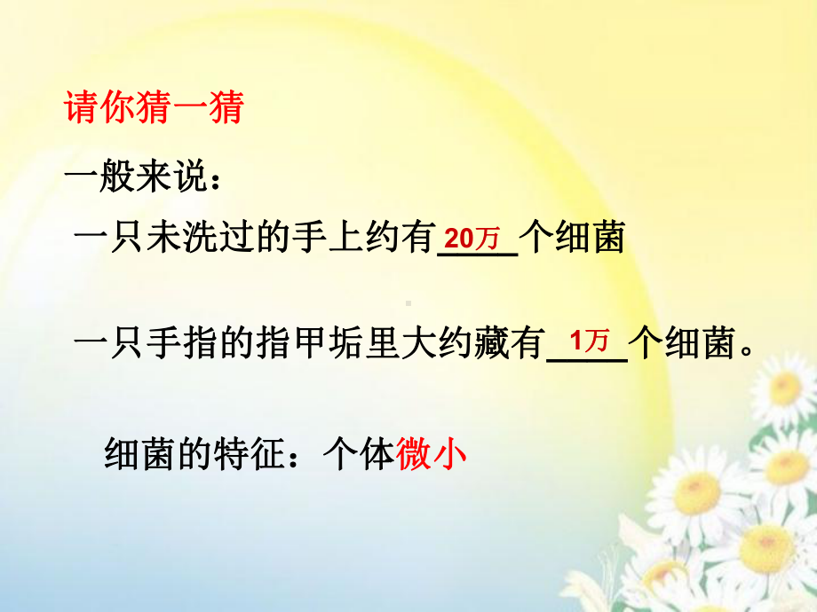 我们生活中的细菌课件.ppt_第3页