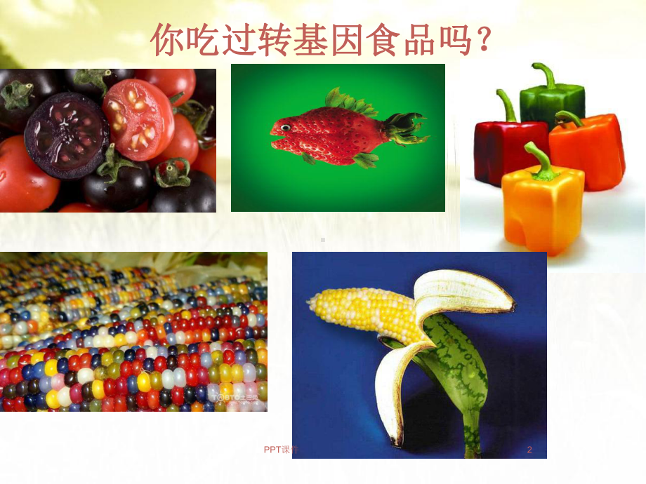 转基因食品的安全性评价课件.ppt_第2页