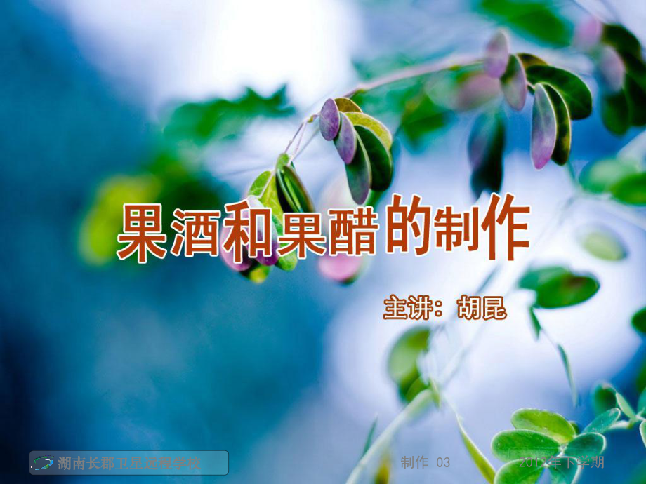 兼性厌氧醋酸菌课件.ppt_第2页