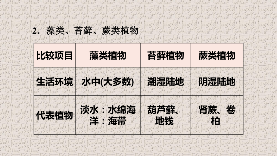 人教版七年级生物上册第三单元第一章习题课件.pptx_第3页