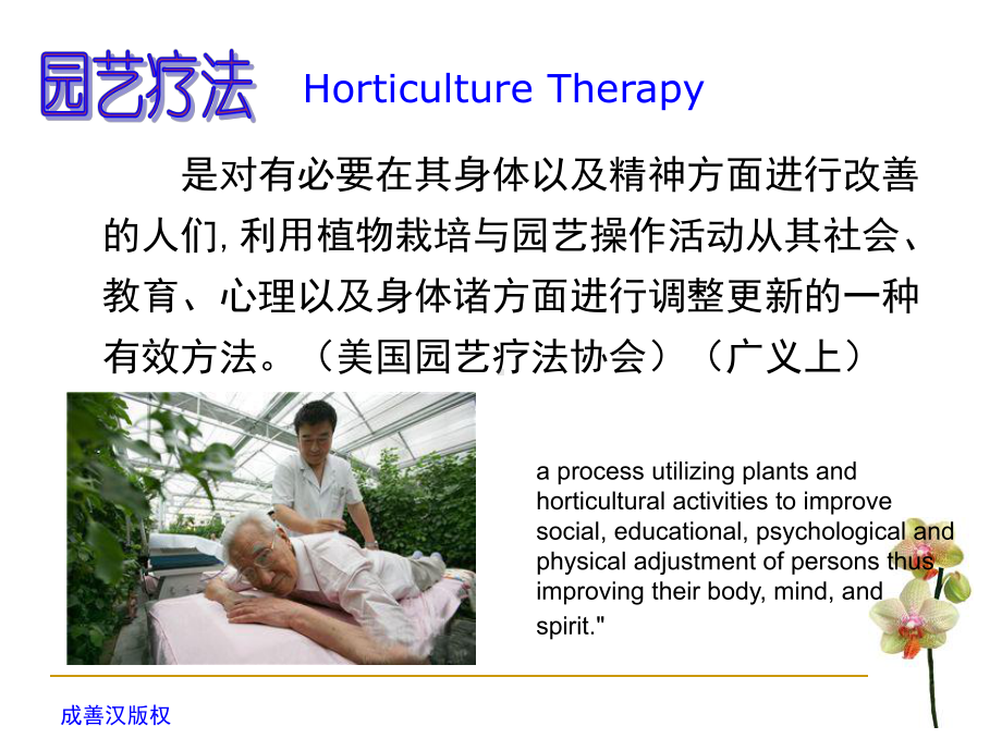 园艺疗法共课件.ppt_第3页