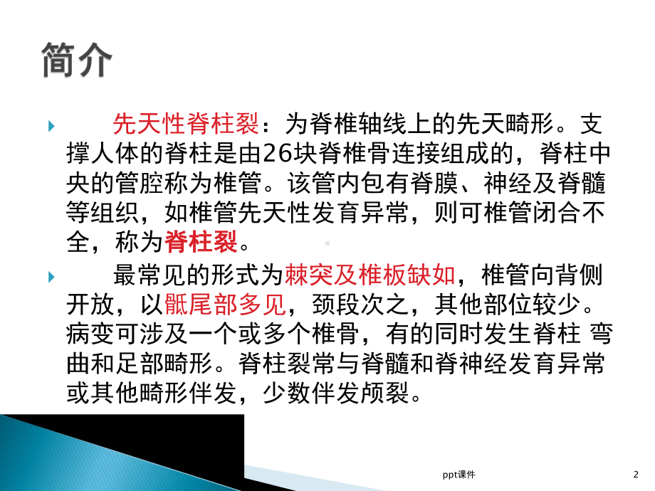 先天性脊柱裂课件.ppt_第2页