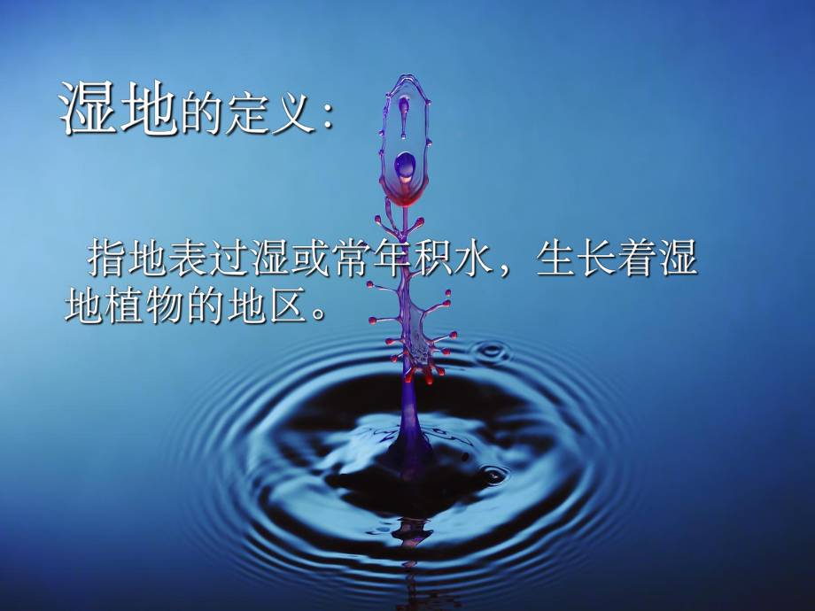 湿地生态工程课件.ppt_第3页