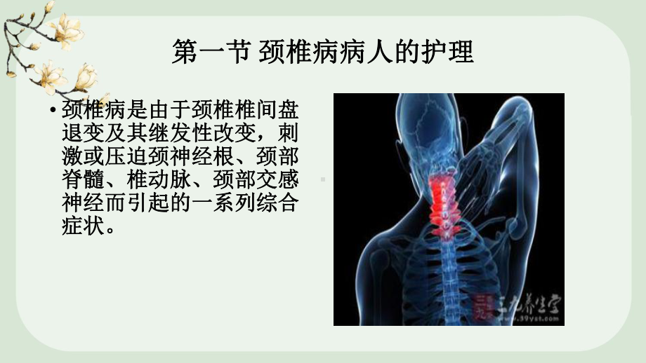 颈肩痛与腰腿痛病人的护理教学课件.pptx_第3页