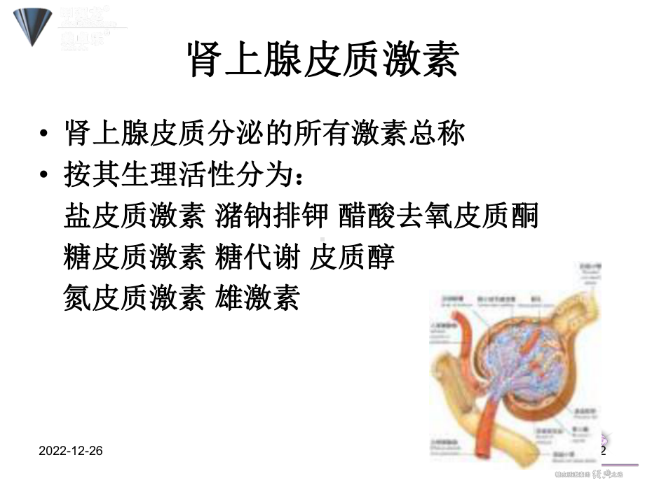 糖皮质激素的规范使用资料课件.ppt_第2页