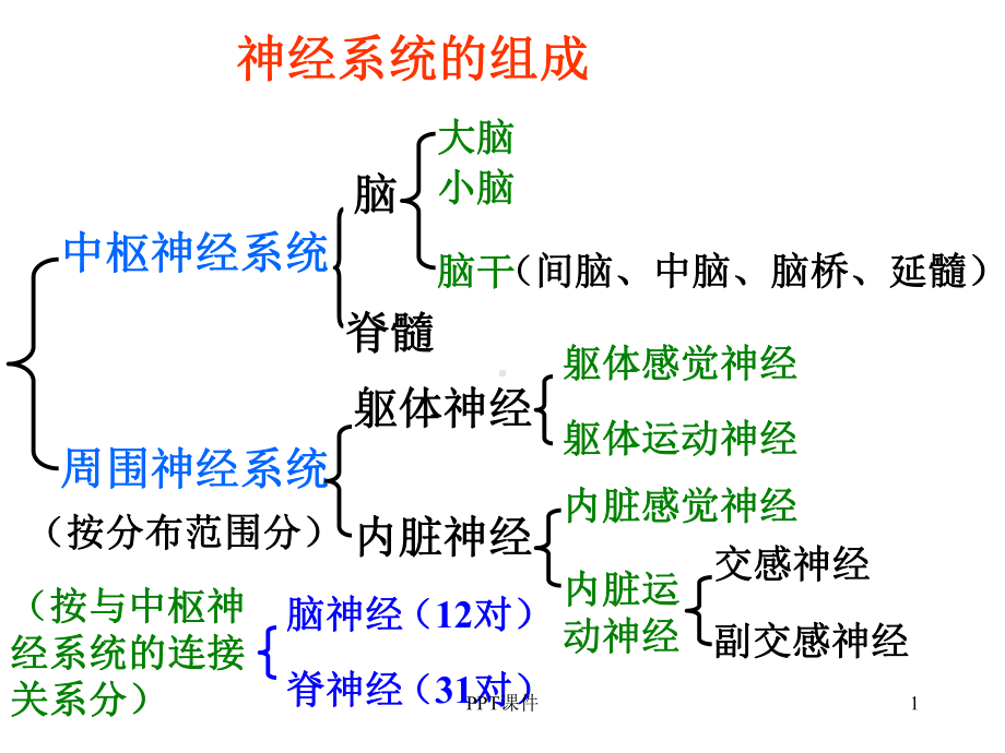 人脑的结构与功能课件.ppt_第1页