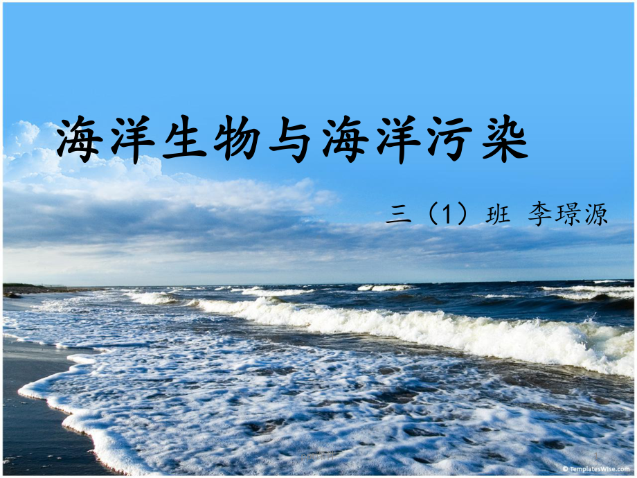 海洋生物与海洋污染课件.ppt_第1页