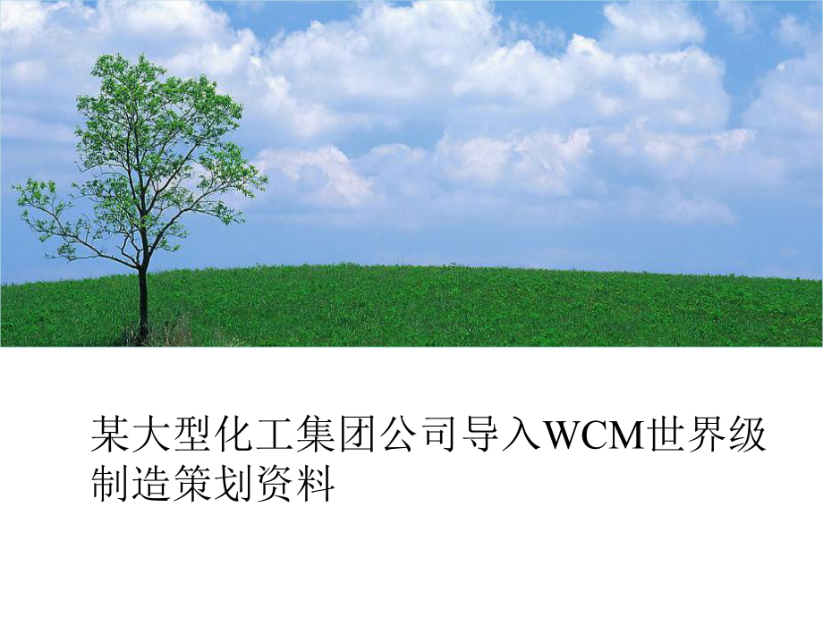 某大型化工集团公司导入WCM世界级制造策划课件.ppt_第1页