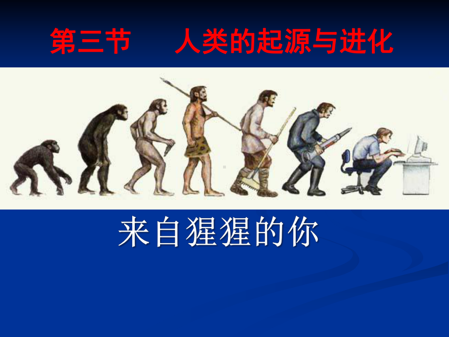 人类的起源和进化(上课)课件.ppt_第1页