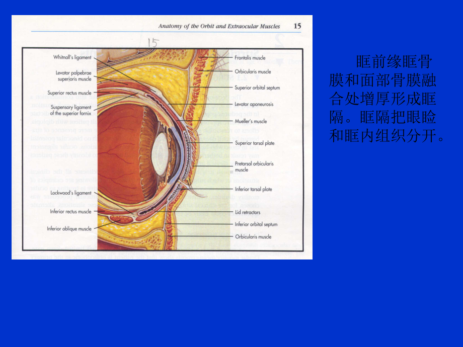 青少年视力保护讲座课件.ppt_第3页