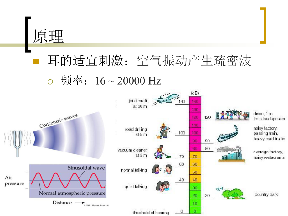 声波传导途径的检测课件.ppt_第3页