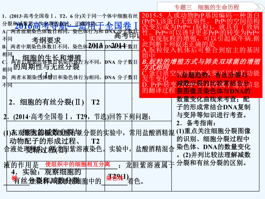 二轮专题三细胞的生命历程2课件.ppt_第2页