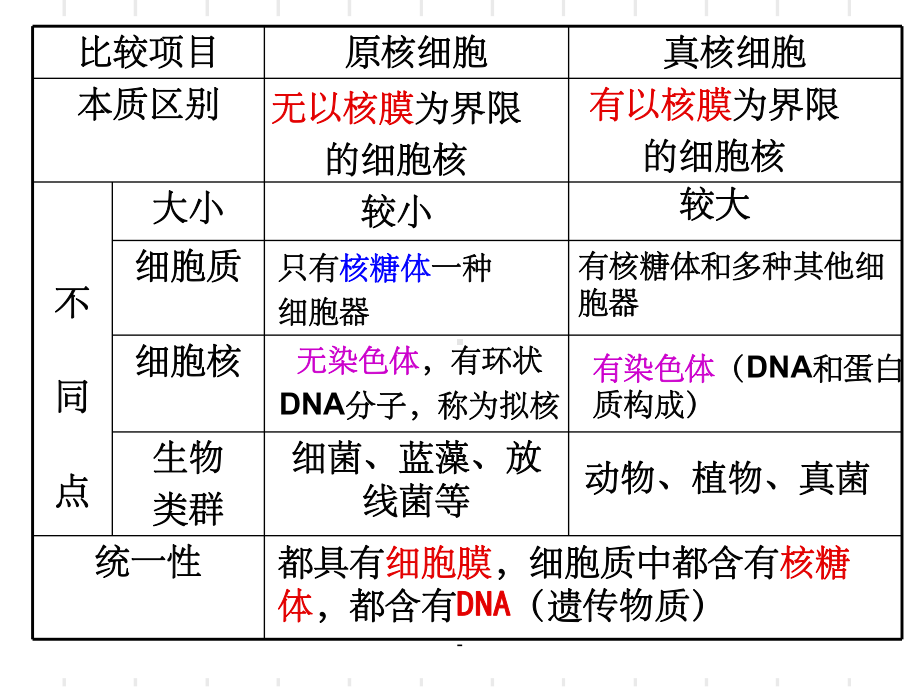 细胞学说的建立过程课件.ppt_第3页