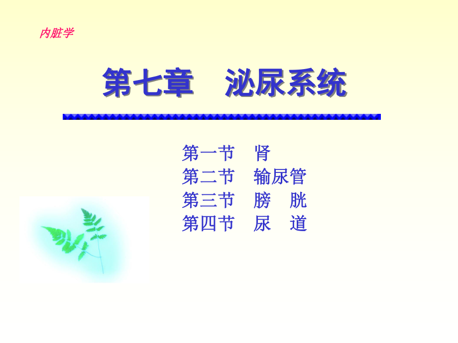 基础医学概论-第七章-泌尿系统课件.ppt_第1页