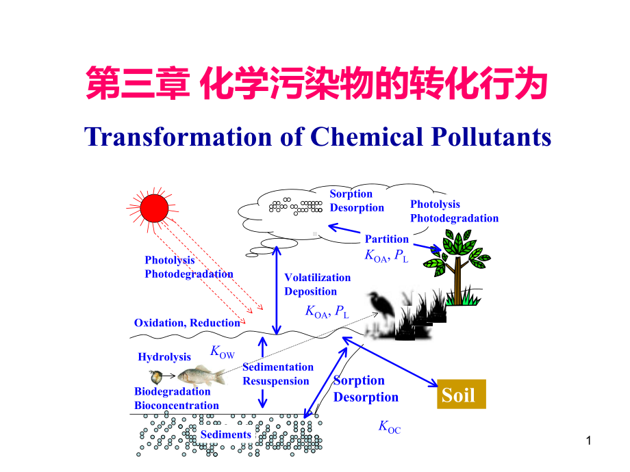 环境化学第三章-化学污染物的转化行为课件.ppt_第1页